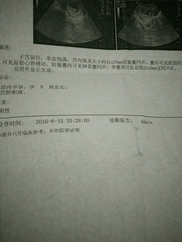 journal_insert_pic_506830811