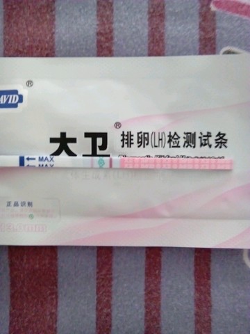 journal_insert_pic_507124260