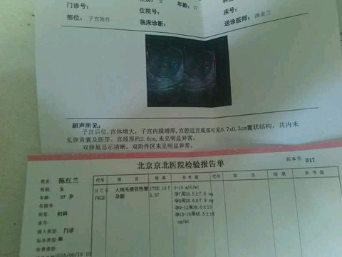 journal_insert_pic_509559928