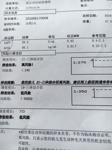journal_insert_pic_510204296