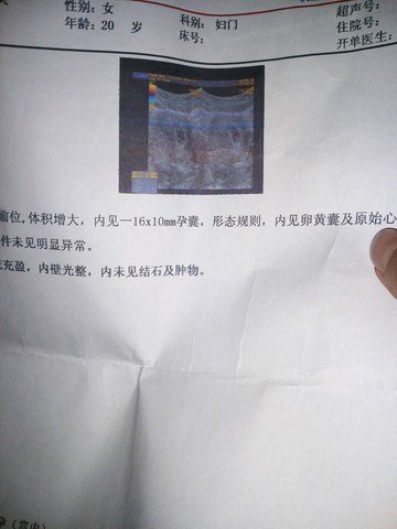 journal_insert_pic_511570342