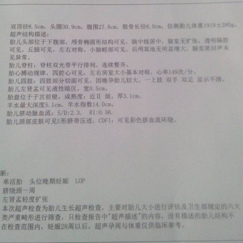 journal_insert_pic_511468471