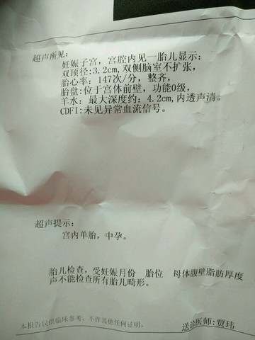 journal_insert_pic_512734843