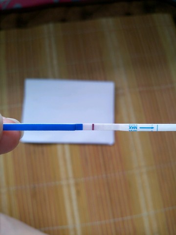 journal_insert_pic_512769540