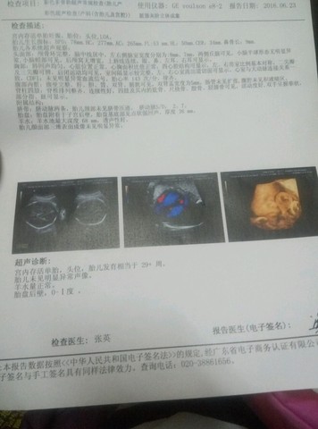 journal_insert_pic_513213769