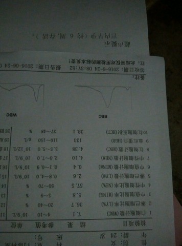 journal_insert_pic_513639891