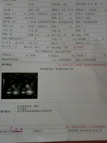 journal_insert_pic_513603376