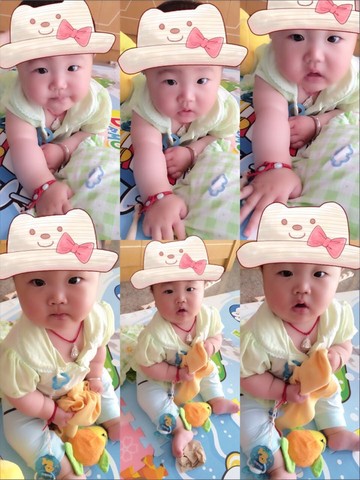 journal_insert_pic_515061142