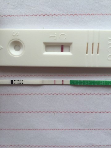 journal_insert_pic_515000562