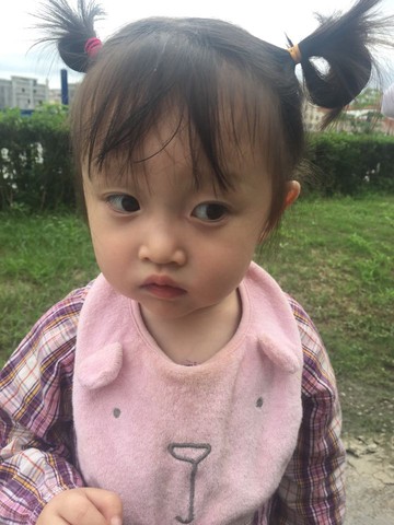 journal_insert_pic_515520990