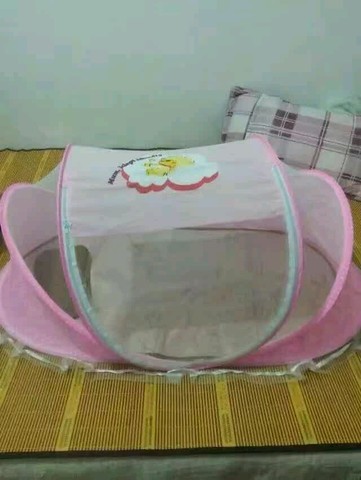 journal_insert_pic_515622780