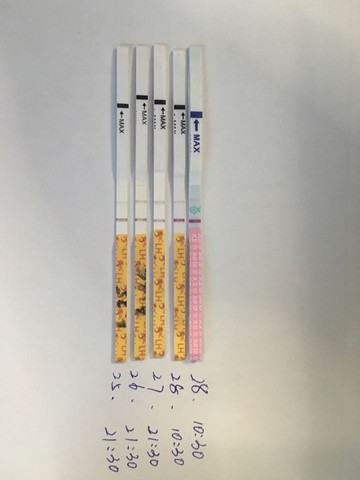 journal_insert_pic_516602776
