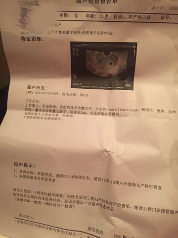 journal_insert_pic_517715985