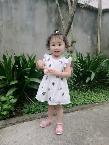 journal_insert_pic_517132802