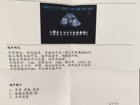 journal_insert_pic_517772888