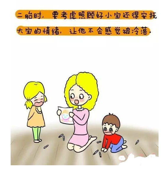 journal_insert_pic_518254722
