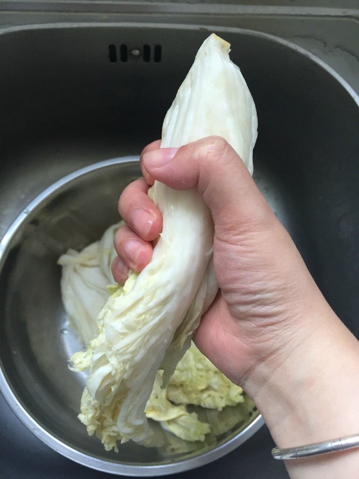 journal_insert_pic_518568397