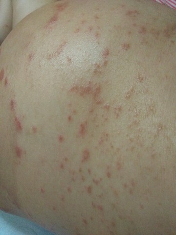 journal_insert_pic_521334997