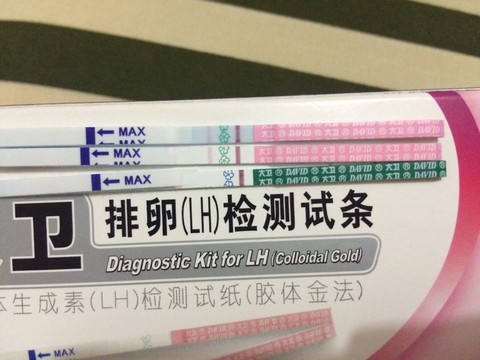 journal_insert_pic_521203092