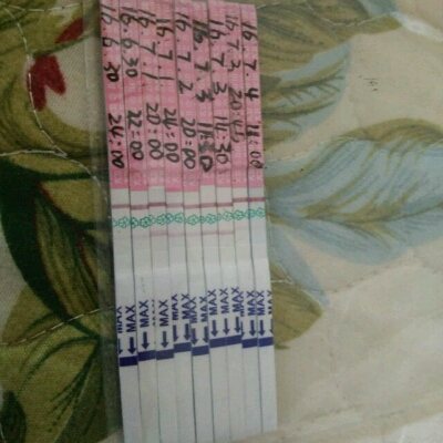 journal_insert_pic_521728968