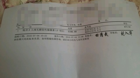 journal_insert_pic_521805089