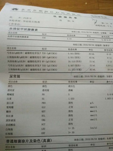 journal_insert_pic_521865373