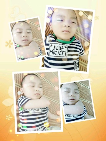 journal_insert_pic_522323875
