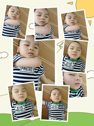 journal_insert_pic_522324230