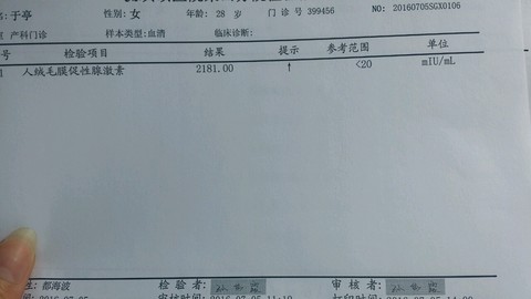 journal_insert_pic_522890402