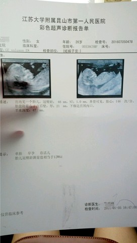 journal_insert_pic_522969224