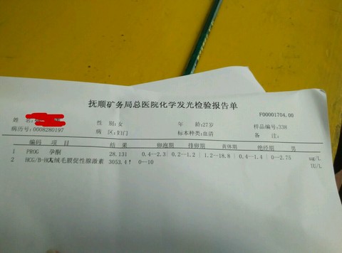 journal_insert_pic_523091561