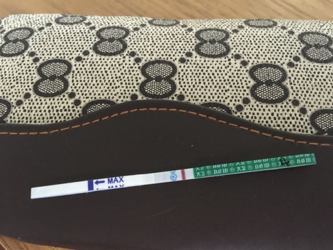 journal_insert_pic_522828579