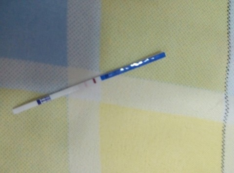 journal_insert_pic_522371279