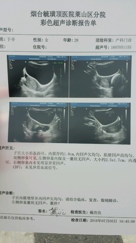 journal_insert_pic_522890243