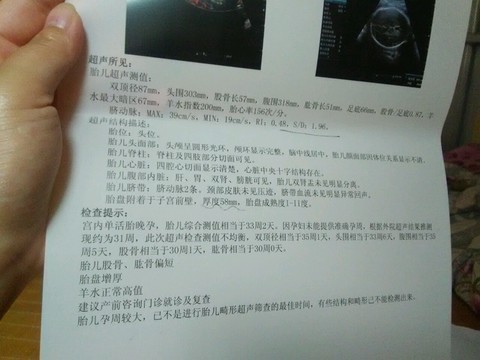 journal_insert_pic_524045850