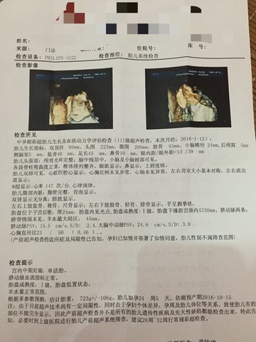 journal_insert_pic_523677898
