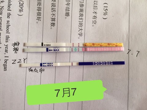 journal_insert_pic_525021718
