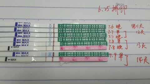 journal_insert_pic_525761185