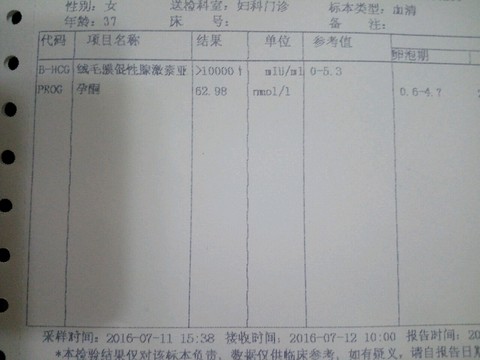 journal_insert_pic_528280267