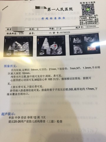 journal_insert_pic_528177155