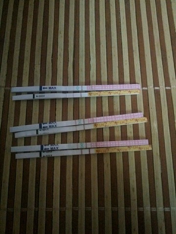 journal_insert_pic_527861127