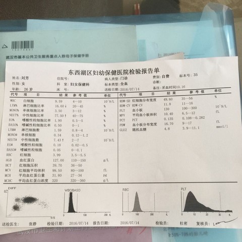 journal_insert_pic_529601561