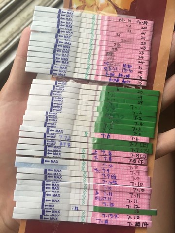 journal_insert_pic_529511335