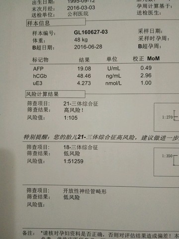 journal_insert_pic_530156482