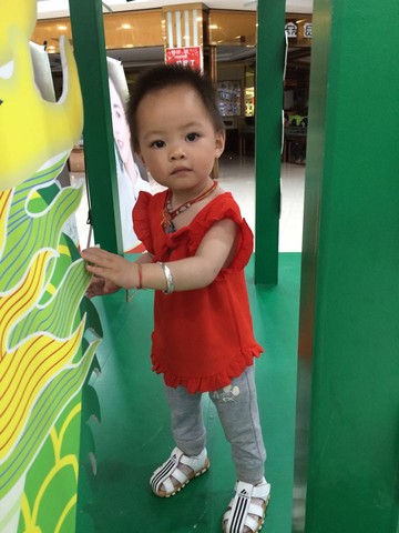 journal_insert_pic_531020780