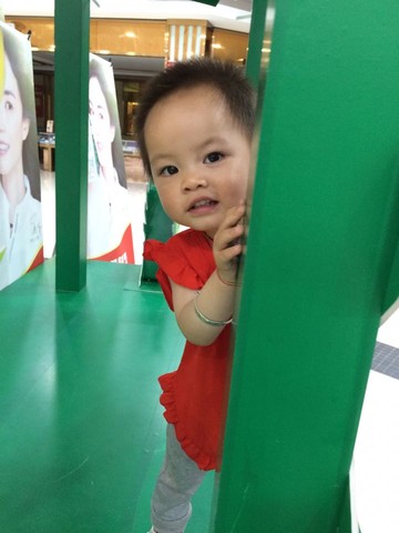 journal_insert_pic_531020865