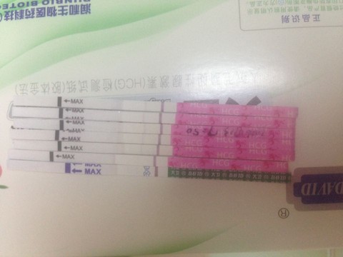 journal_insert_pic_531230005