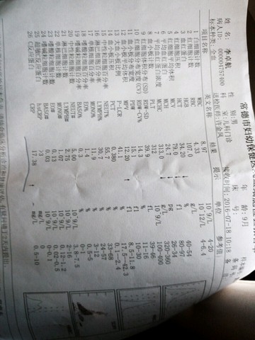 journal_insert_pic_532325382