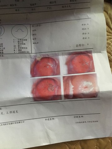 journal_insert_pic_532470509