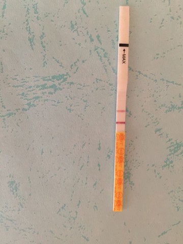 journal_insert_pic_532212129